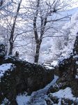 Древнеримской тропой по берегу Комо